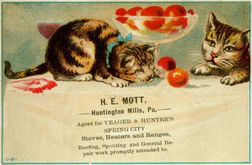 SCI - Yeager & Hunter Stove - 2