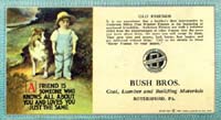 RFI - Bush Brothers Ad